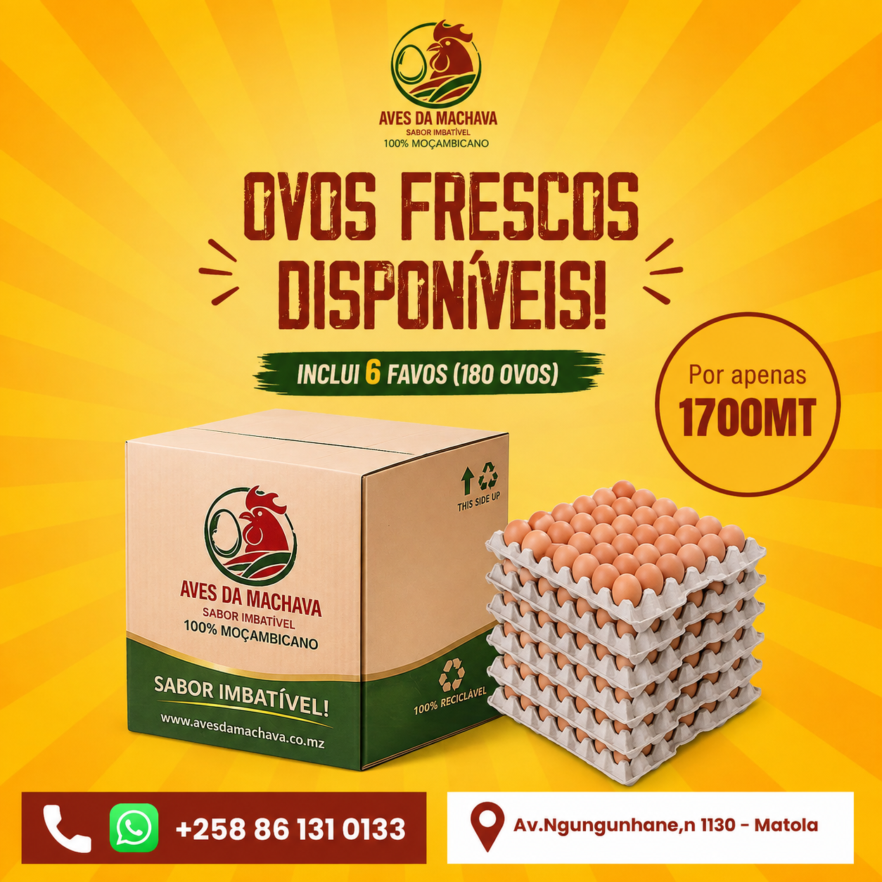 Ovos Frescos Disponíveis Caixa 6 Favos